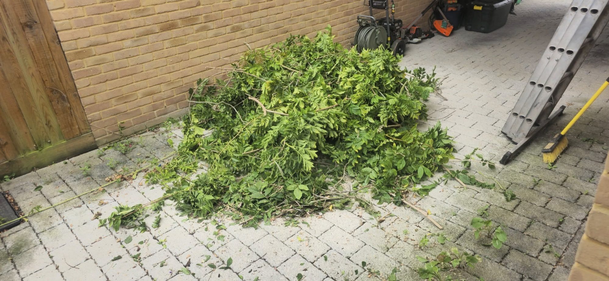 Pruning