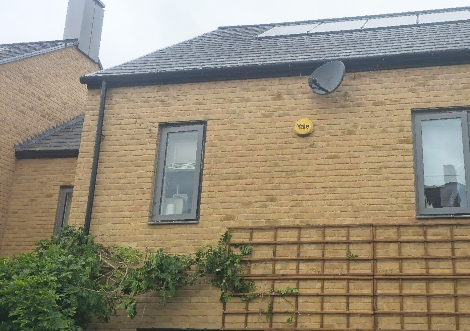 roof & Gutter Cleaning pruning