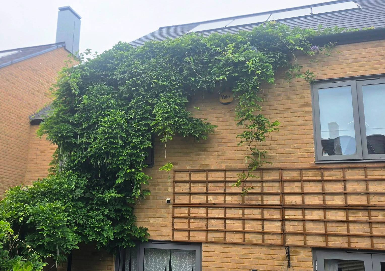 pruning