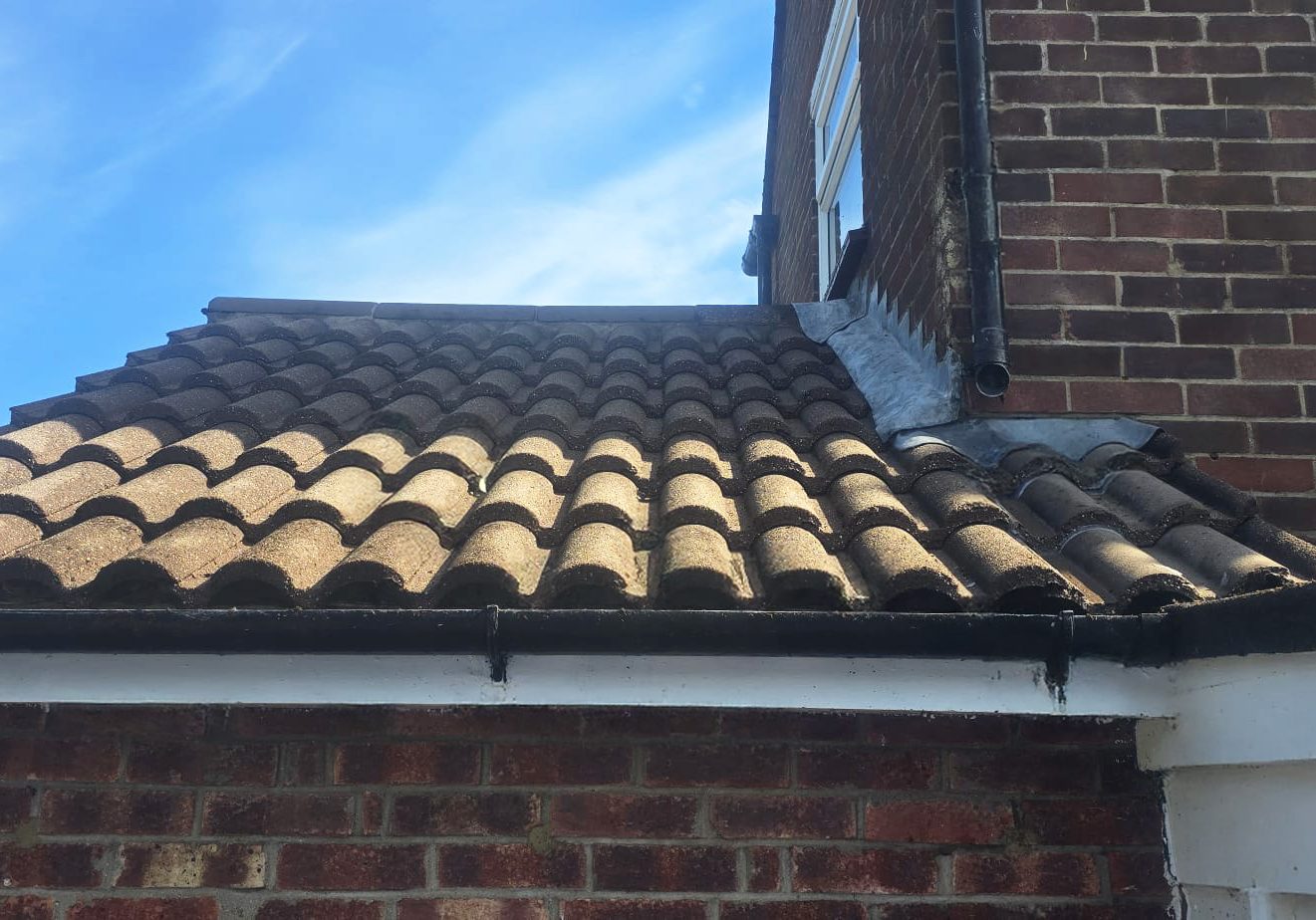 roof & Gutter Cleaning